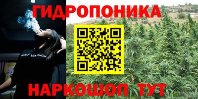 СК Бузулук