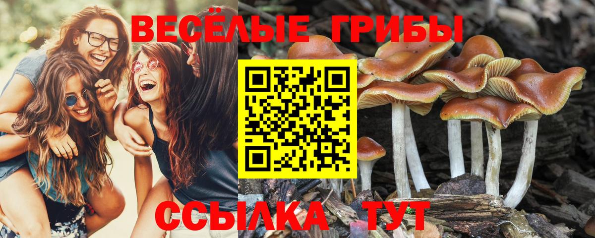 Псилоцибиновые грибы Magic Shrooms Сибай