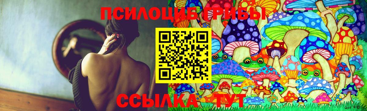 Сибай  Галлюциногенные грибы Psilocybine cubensis  Вход с VPN 